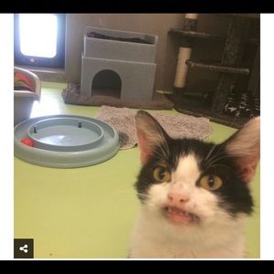 Meet your Posher, Eli